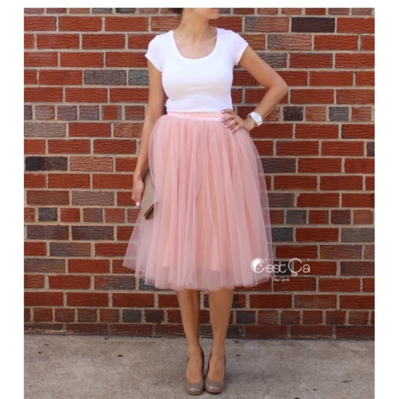 C'EST ÇA NEW YORK Dresses & Skirts - Colette Gray Pink Soft Tulle Skirt - MidiC'EST ÇA